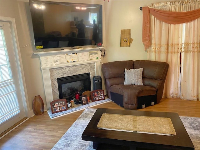 sitting room with hardwood / wood-style floors, a fireplace, and plenty of natural light