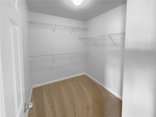 spacious closet with carpet