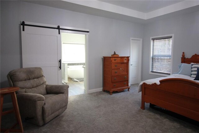 223 Deans Dr, Dawsonville, GA 30534 - carpeted bedroom featuring baseboards, a barn door, and a tray ceiling