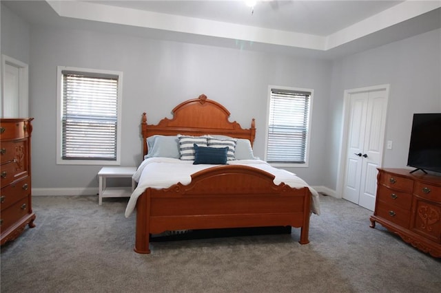 223 Deans Dr, Dawsonville, GA 30534 - bedroom featuring baseboards, carpet flooring, a closet, and a raised ceiling