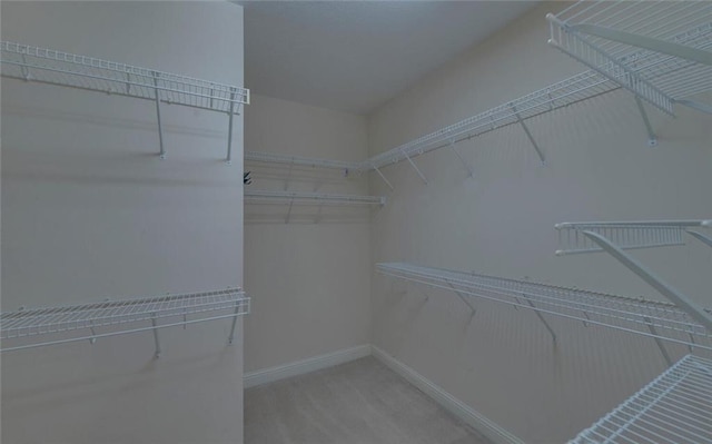 2121 Brittany Ct, Gainesville, GA 30506 - walk in closet with light carpet
