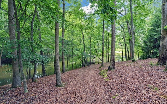2121 Brittany Ct, Gainesville, GA 30506 - view of tree filled area