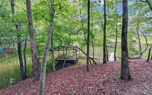 2121 Brittany Ct, Gainesville, GA 30506 - view of dock