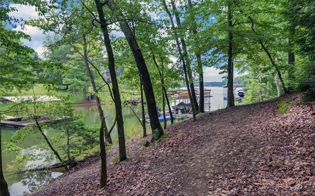 2121 Brittany Ct, Gainesville, GA 30506 - water view