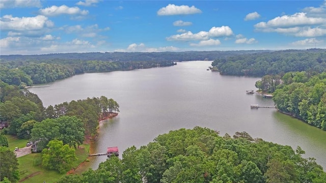 2121 Brittany Ct, Gainesville, GA 30506 - drone / aerial view of a nearby body of water and a forest