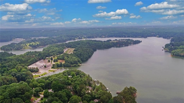 2121 Brittany Ct, Gainesville, GA 30506 - drone / aerial view of a large body of water and a forest