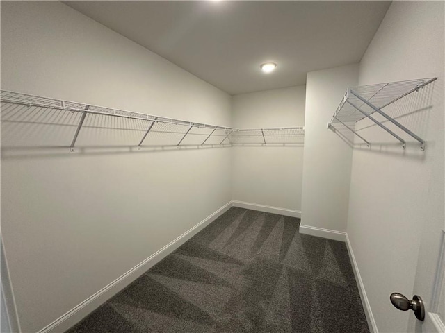 walk in closet with dark carpet