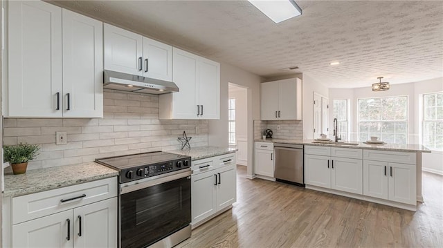 kitchen with under cabinet range hood, stainless steel appliances, a sink, and light wood finished floors