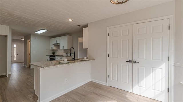 kitchen with electric stove, a peninsula, decorative backsplash, and wood finished floors