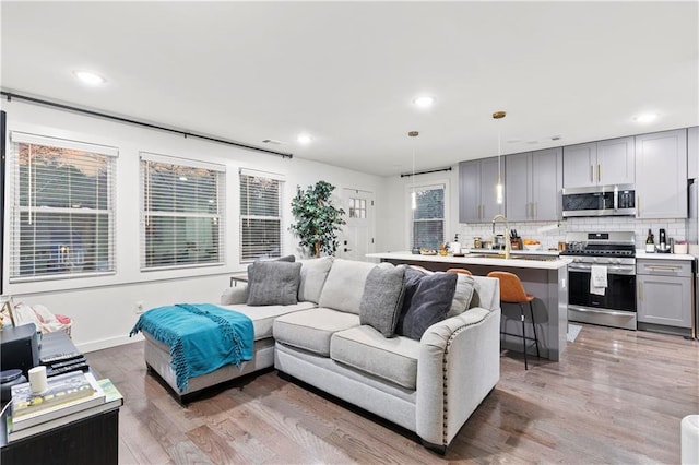 living room with hardwood / wood-style floors