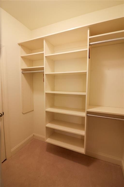 184 Cadence Trl, Canton, GA 30115 - walk in closet with carpet