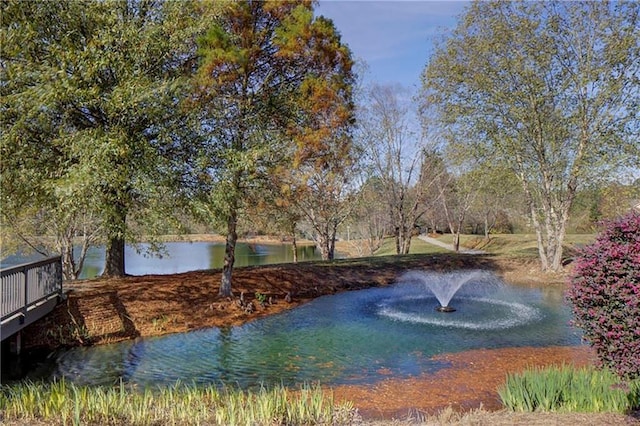 184 Cadence Trl, Canton, GA 30115 - water view