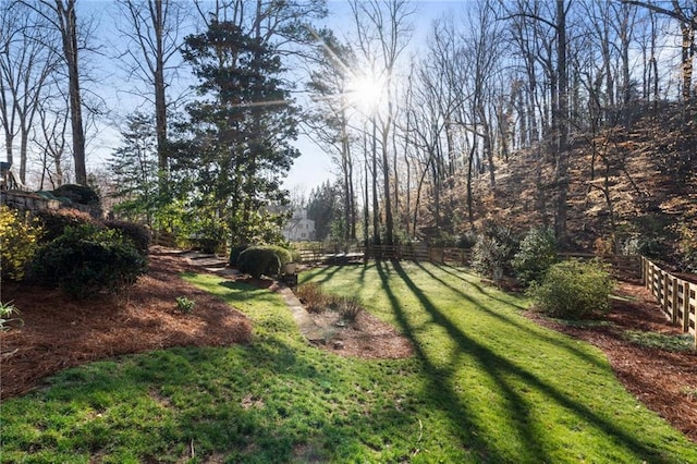 view of yard with fence