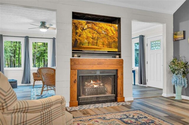 living area featuring ceiling fan, wood-type flooring, and ornamental molding