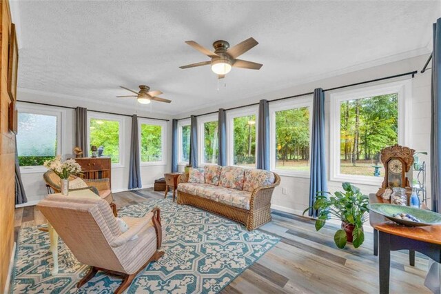 sunroom with ceiling fan and a healthy amount of sunlight