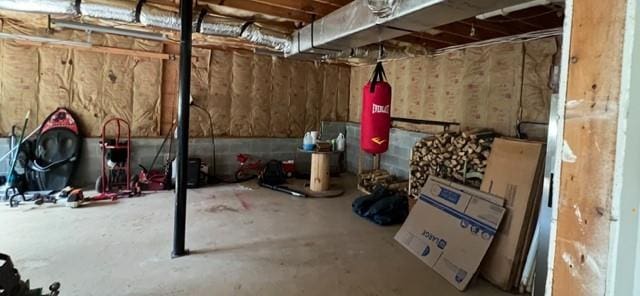 279 Fairview Dr, Dallas, GA 30157 - view of basement