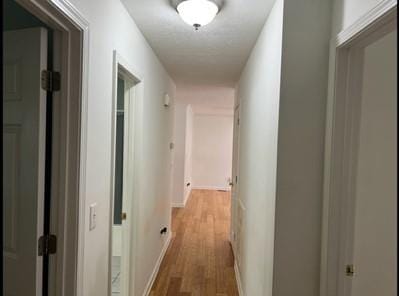 279 Fairview Dr, Dallas, GA 30157 - hall with light wood-style flooring