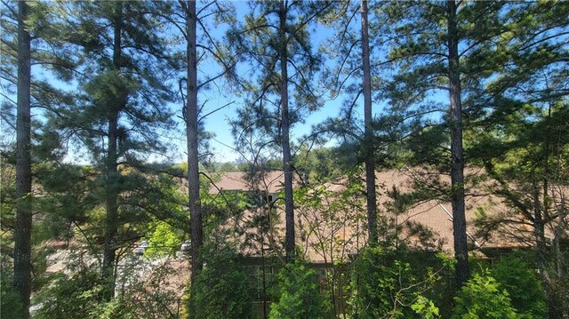 823 Canterbury Overlook, Atlanta, GA 30324 - view of local wilderness