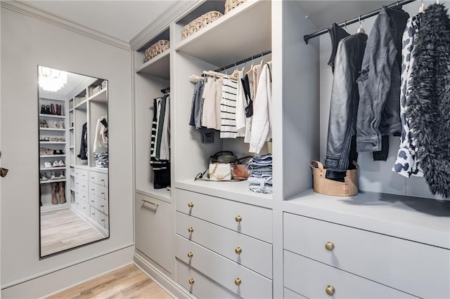 spacious closet featuring light wood-type flooring