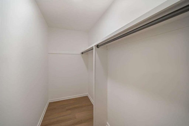 spacious closet with wood finished floors