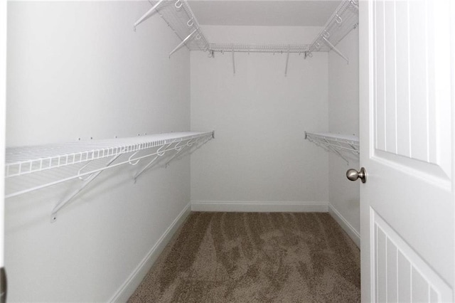 walk in closet featuring dark carpet