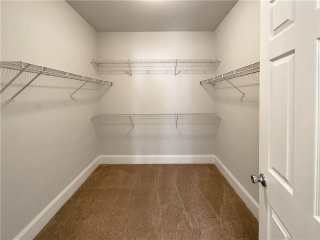 6405 Beaver Creek Trl, Atlanta, GA 30349 - spacious closet featuring carpet flooring