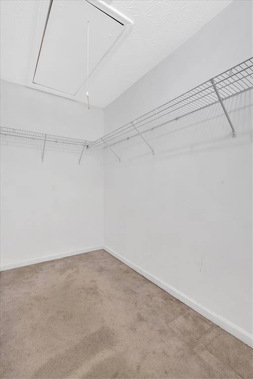 walk in closet with attic access and carpet