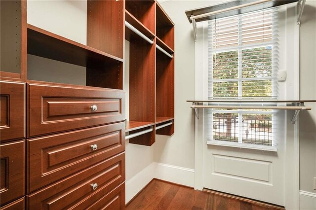 spacious closet featuring dark wood-style floors