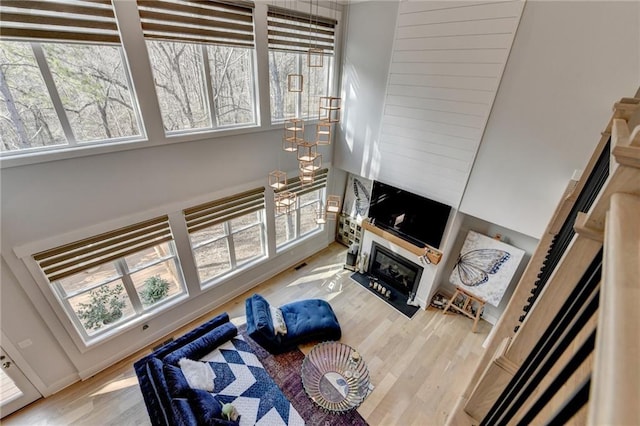 living room featuring light hardwood / wood-style flooring