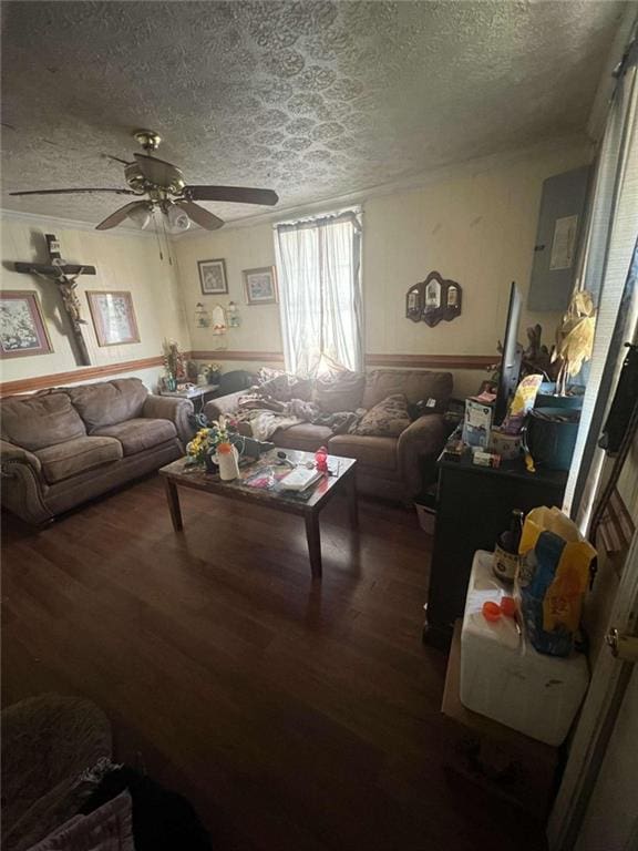 living room featuring wood-type flooring, ceiling fan, and a textured ceiling