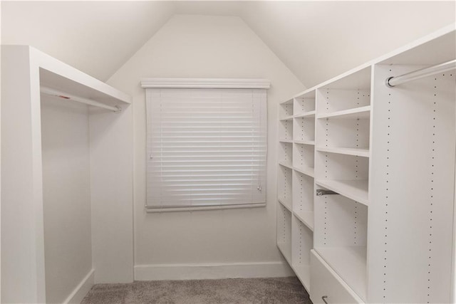 3258 Bransley Way, Duluth, GA 30097 - walk in closet with carpet and vaulted ceiling