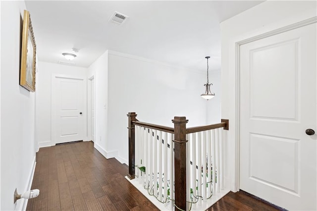 hallway featuring dark wood-type flooring