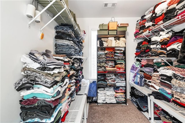 walk in closet featuring carpet floors