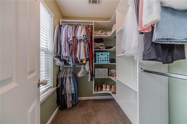 spacious closet with carpet floors