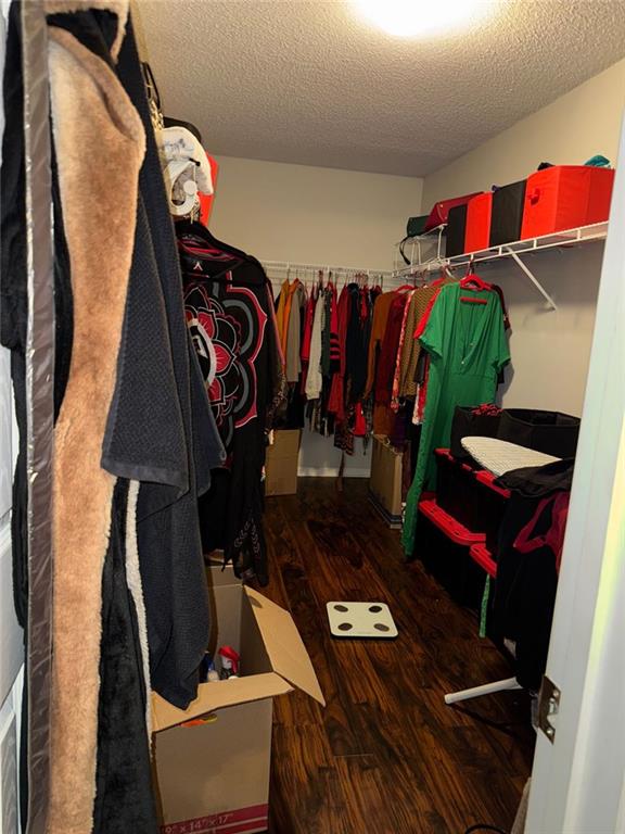 walk in closet with hardwood / wood-style flooring