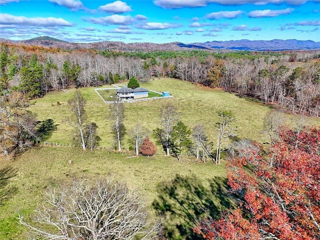 aerial view with a mountain view