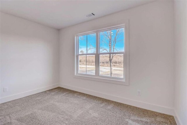 carpeted spare room featuring a wealth of natural light