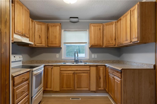 kitchen featuring sink, white electric range, and a textured ceiling