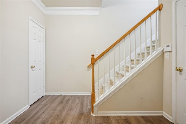 entryway with hardwood / wood-style floors and ornamental molding