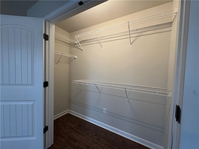 walk in closet with wood finished floors