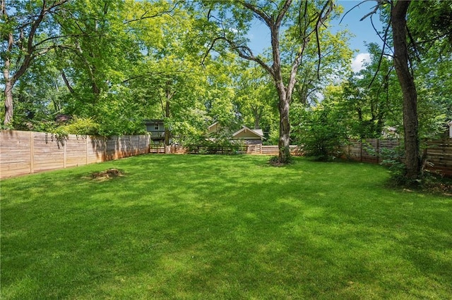 642 Erin Ave SW, Atlanta, GA 30310 - view of yard