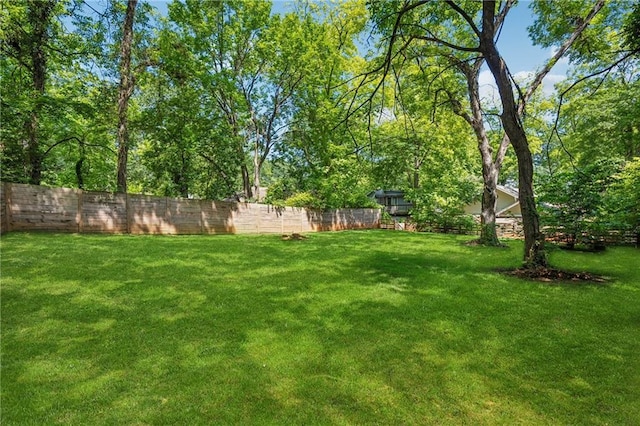 642 Erin Ave SW, Atlanta, GA 30310 - view of yard