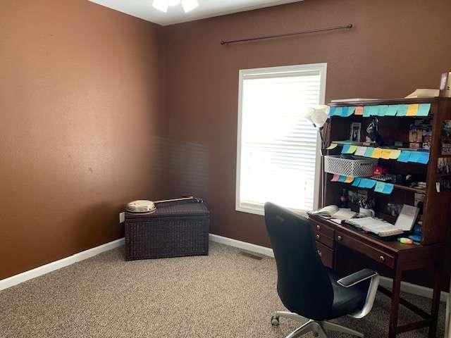 789 N Falling Waters Dr N, Demorest, GA 30535 - office featuring plenty of natural light, baseboards, and light carpet