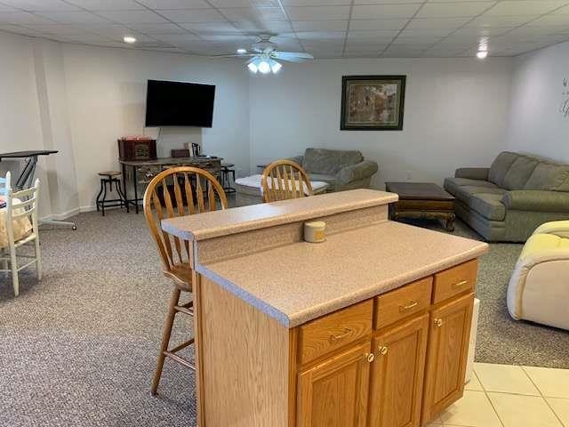 789 N Falling Waters Dr N, Demorest, GA 30535 - living room with light carpet, a paneled ceiling, a ceiling fan, and baseboards