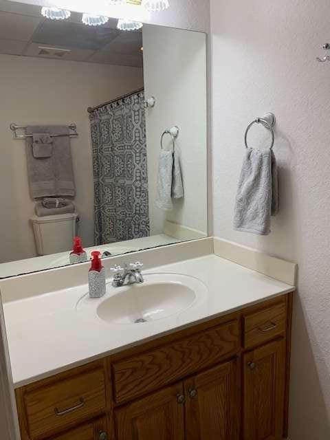 789 N Falling Waters Dr N, Demorest, GA 30535 - full bathroom featuring vanity