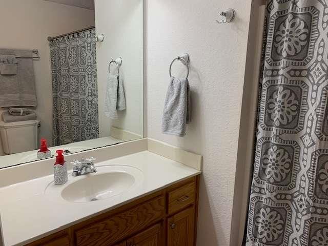 789 N Falling Waters Dr N, Demorest, GA 30535 - bathroom featuring vanity and curtained shower