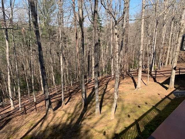 789 N Falling Waters Dr N, Demorest, GA 30535 - view of local wilderness