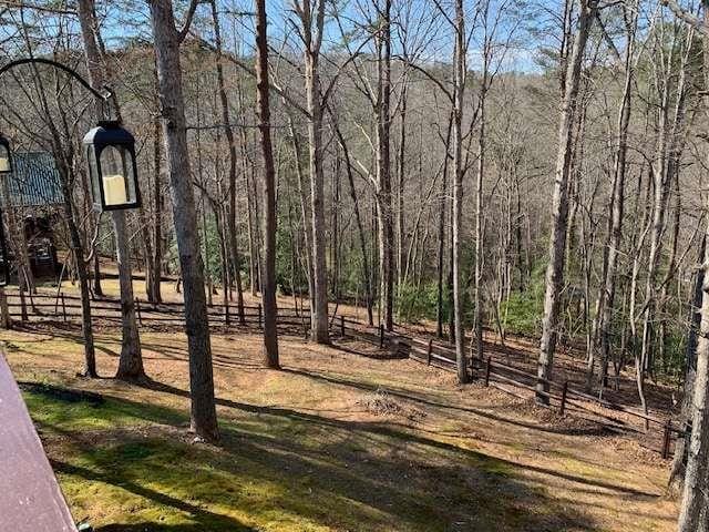 789 N Falling Waters Dr N, Demorest, GA 30535 - view of yard