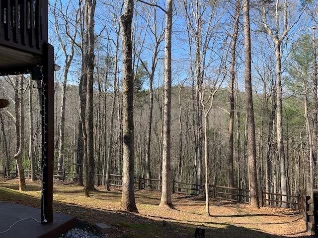 789 N Falling Waters Dr N, Demorest, GA 30535 - view of yard featuring a wooded view