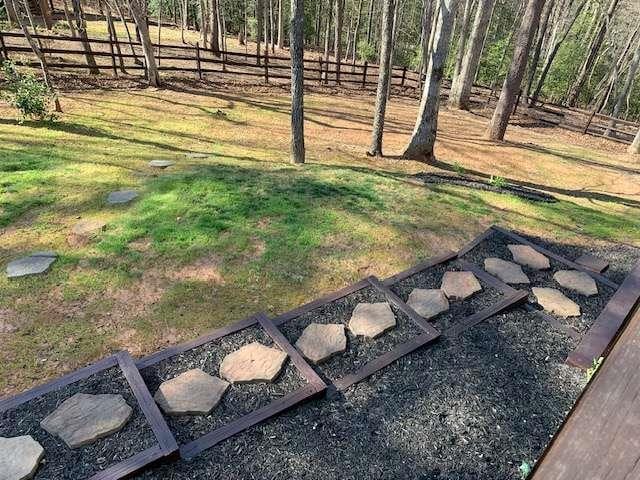 789 N Falling Waters Dr N, Demorest, GA 30535 - view of yard